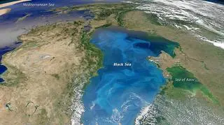 Fitoplankton na Morzu Czarnym (earthobservatory.nasa.gov)
