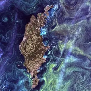 Fitoplankton na wodach Bałtyku w rejonie Gotlandii, 13.07.2005 (NASA's Goddard Space Flight Center/USGS)