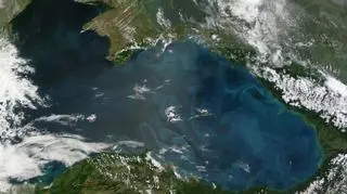 Fitoplankton rozkwitał w Morzu Czarnym już w maju (NASA)