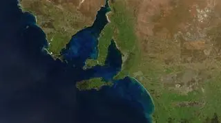 Fitoplankton w pełnej krasie / NASA/MODIS