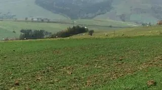 Fragment trasy (fot. Katarzyna Karpa)