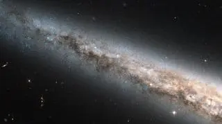 Galaktyka Igła jest podobna do Drogi Mlecznej (NASA)