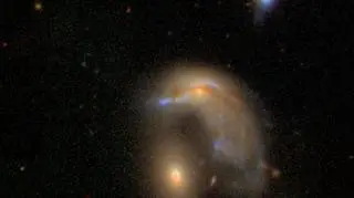Galaktyka o kształcie pingwina (Galaxy Zoo)