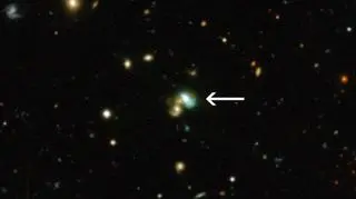 Galaktyka typu "zielona fasolka" (CFHT/ESO/M. Schirmer)