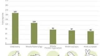Gatunków obcego pochodzenia szybko przybywa (Maria Samczuk/PAP)