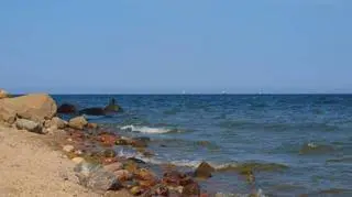 Gdynia Orłowo Kontakt Meteo/avesataaan