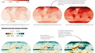 Globalne ocieplenie (Adam Ziemienowicz/PAP)