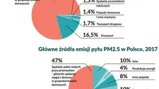 Główne źródła benzopirenu w Polsce (Polski Alarm Smogowy)