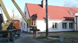 Gniazdo przeniesiono przy pomocy ciężkiego sprzętu