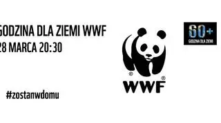 Godzina dla Ziemi odbędzie się w sobotę (WWF Polska)