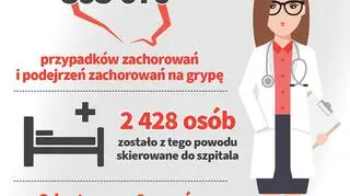 Grypa w pierwszych dwóch tygodniach lutego (Główny Inspektorat Sanitarny)