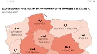 Grypa w Polsce (Maciej Zieliński/PAP)