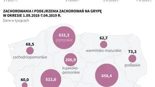 Grypa w Polsce (Maciej Zieliński/PAP)