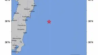 Gwiazdka oznaczono epicentrum trzęsienia (United States Geological Survey)