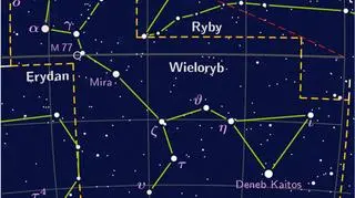 Gwiazdozbiór Wieloryba (wikimedia.commons/Karol007 CC BY-SA 3.0)