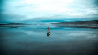 Husky to psy doskonale przystosowane do surowych warunków