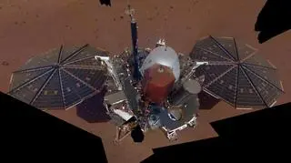 InSight zrobił sobie selfie