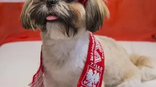 Jadzia też kibicuje Biało-Czerwonym! (Kontakt 24/jadzia