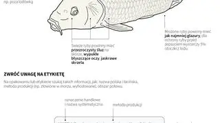 Jak kupić dobrą rybę? (Maria Samczuk/PAP)