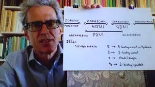 Jak może wyglądać przebieg epidemii COVID-19 (TVN24)