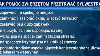Jak pomóc zwierzętom przetrwać sylwestra?