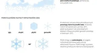 Jak powstaje i ile waży śnieg? (Maria Samczuk/PAP/DPA)