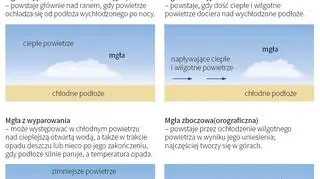 Jak powstaje mgła? (Małgorzata Latos/PAP)