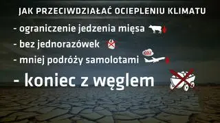 Jak powstrzymać ocieplanie się klimatu