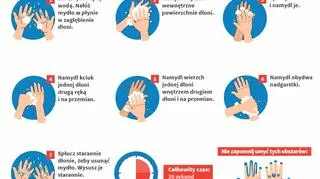 Jak skutecznie myć ręce (Główny Inspektorat Sanitarny)