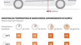 Jak szybko nagrzewa się samochód? (Maciej Zieliński/PAP/IMGW)