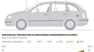 Jak szybko nagrzewa się samochód? (Maria Samczuk/PAP)