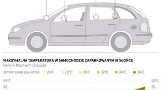 Jak szybko nagrzewa się samochód (Maria Samczuk/PAP)