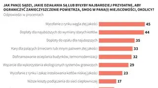 Jak walczyć ze smogiem