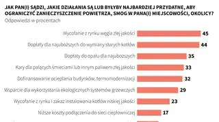 Jak walczyć ze smogiem. Sondaż CBOS (il. Małgorzata Latos/PAP)