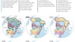Jak zmiany klimatu wpływają na niedźwiedzie Polarne (Maria Samczuk/PAP)