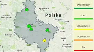 Jakość powietrza w woj. wielkopolskim (WIOŚ Poznań)