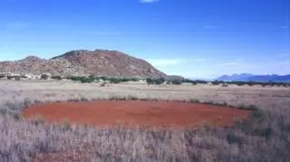 Jeden z namibijskich "czarcich kręgów"