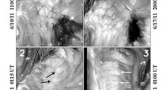 Jednoczesny widok z dwóch sond na komórki koronalne (NASA)