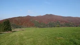 Jesienią Bieszczady nabierają kolorów