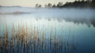 Jezioro Wigry 