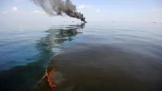Katastrofa platformy wiertniczej miała miejsce w 2010 roku w Zatoce Meksykańskiej. Do oceanu wpłynęło 666 tys. ton ropy naftowej