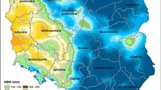 Klimatyczny Bilans Wodny, stan na 22 sierpnia 2018 roku (Instytut Uprawy Nawożenia i Gleboznawstwa)