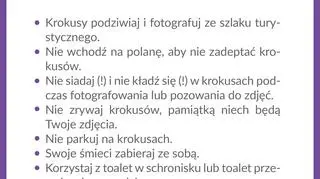 Kodeks miłośnika krokusów (za TPN)