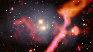Kolory czerwony i różowy ilustrują nietermiczną emisję radiową w galaktyce Abell 1314, wykrytą przez LOFAR (Amanda Wilber/LOFAR Surveys Team/NASA/CXC)