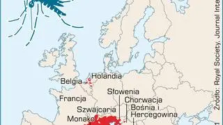 Komary tygrysie w Europie, dane z grudnia 2011 roku (PAP/DPA/Adam Ziemienowicz)