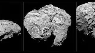 Kometa 67P/Churyumov-Gerasimenko z zaznaczonymi potencjalnymi miejscami lądowania lądownika Philae
