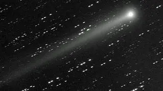 Kometa C/2012 S1 (ISON) widziana 11 listopada 2013 