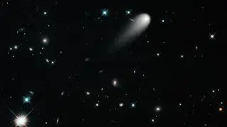Kometa ISON w obiektywie Hubble'a (NASA)