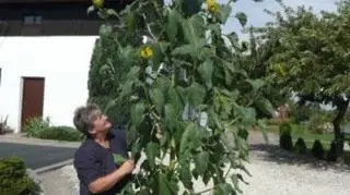 Kontakt Meteo/Magdziula