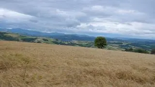 Kontakt Meteo/Stanisław